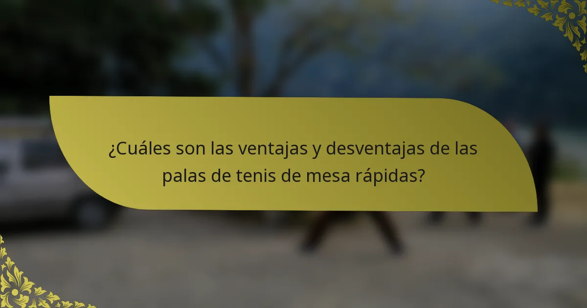 ¿Cuáles son las ventajas y desventajas de las palas de tenis de mesa rápidas?