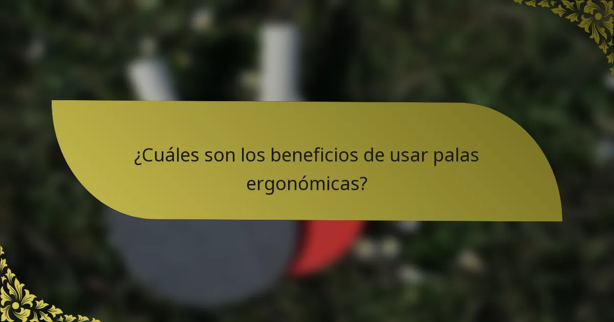 ¿Cuáles son los beneficios de usar palas ergonómicas?
