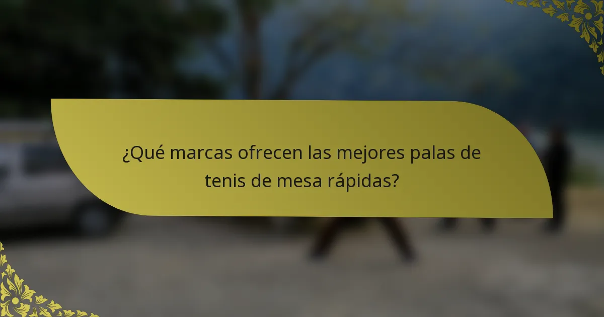 ¿Qué marcas ofrecen las mejores palas de tenis de mesa rápidas?