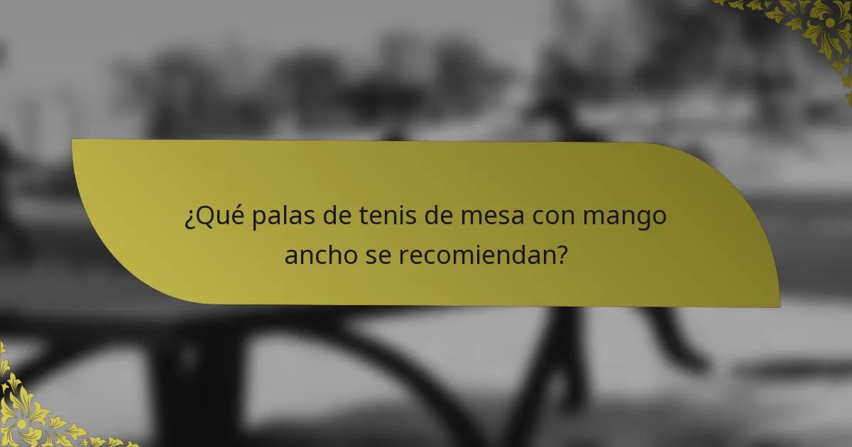 ¿Qué palas de tenis de mesa con mango ancho se recomiendan?